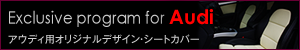 Exclucive Program for Audi