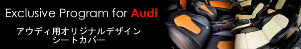 Exclucive Program for Audi