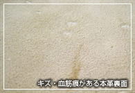 虫・キズ痕